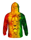 Zion Lion King
