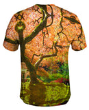 Portland Japanese Garden Maple