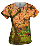 Portland Japanese Garden Maple