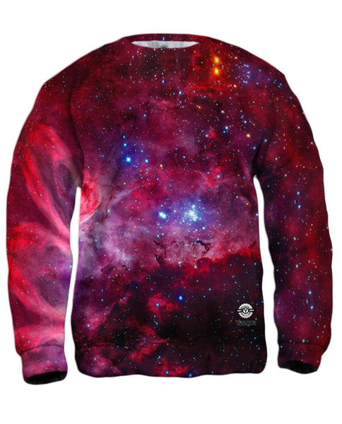 Taj Mahal Ohm Illusion&nbsp;Mens Sweatshirt