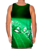 Water Drop Leaf