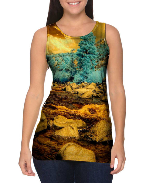 Buena Vista Colorado Womens Tank Top