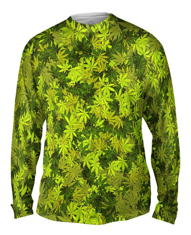 Yellow Haze Legalize It
