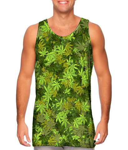 Yellow Haze Legalize It