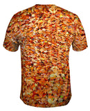 First Fall Leaves Of Autumn