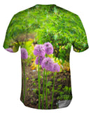 Pretty Purple Flowers