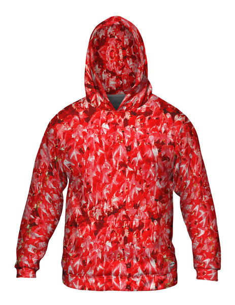 Chippenham Parkgardens Mens Hoodie Sweater