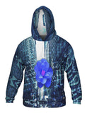 City Blue Flower Script