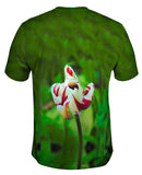 Walmer Castle & Gardens