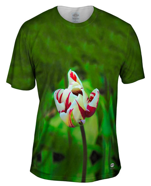 Walmer Castle & Gardens Mens T-Shirt
