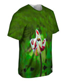 Walmer Castle & Gardens