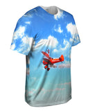 The 14Th Lowestoft Seafront Air Festival