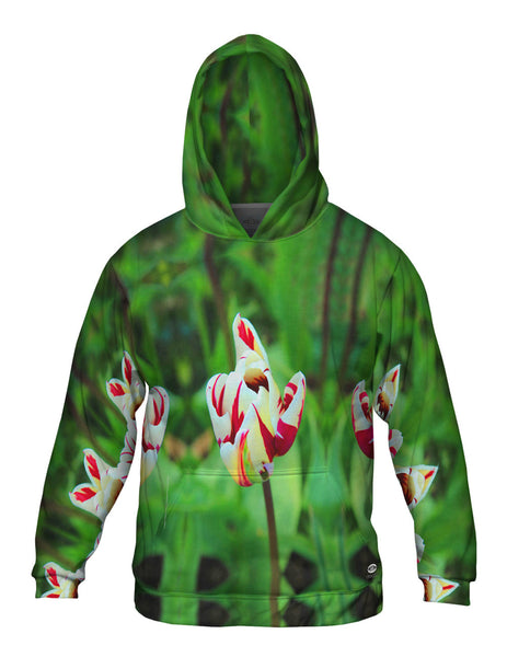 Walmer Castle & Gardens&nbsp;Mens Hoodie Sweater
