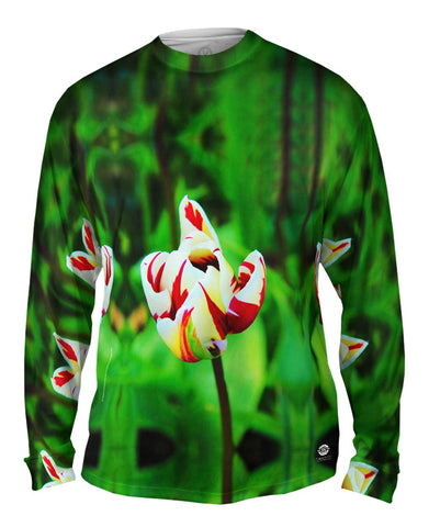 Walmer Castle & Gardens