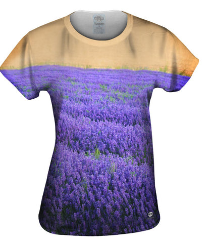 Norfolk Lavender