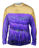 Norfolk Lavender