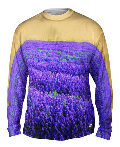 Norfolk Lavender
